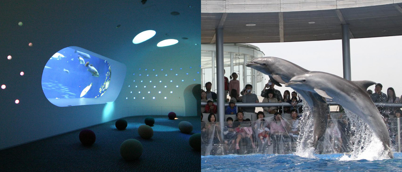 Umitama Experience Park