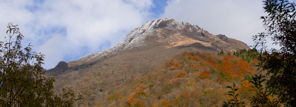 Autumn(秋季)