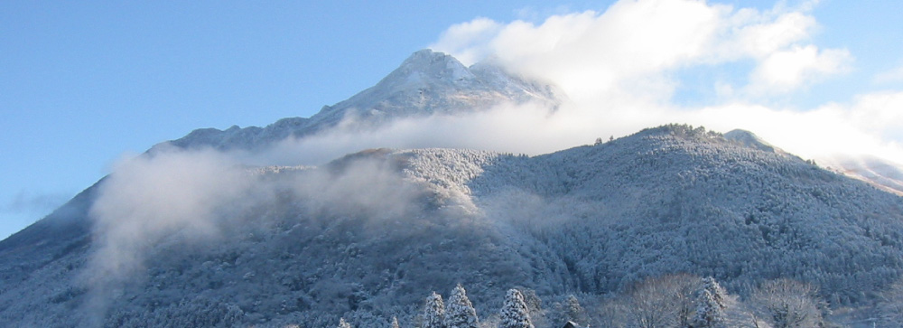 Winter(冬季)