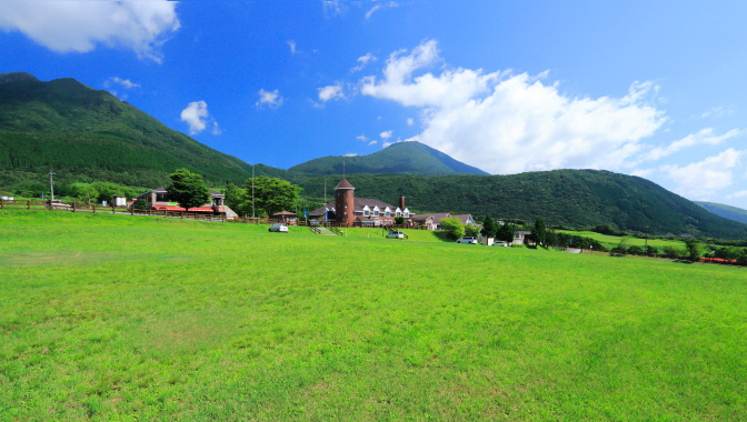 Guernsey Farm 根西农场